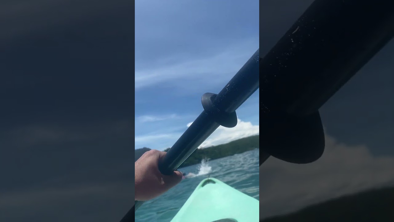 Kayaking at monkey beach 