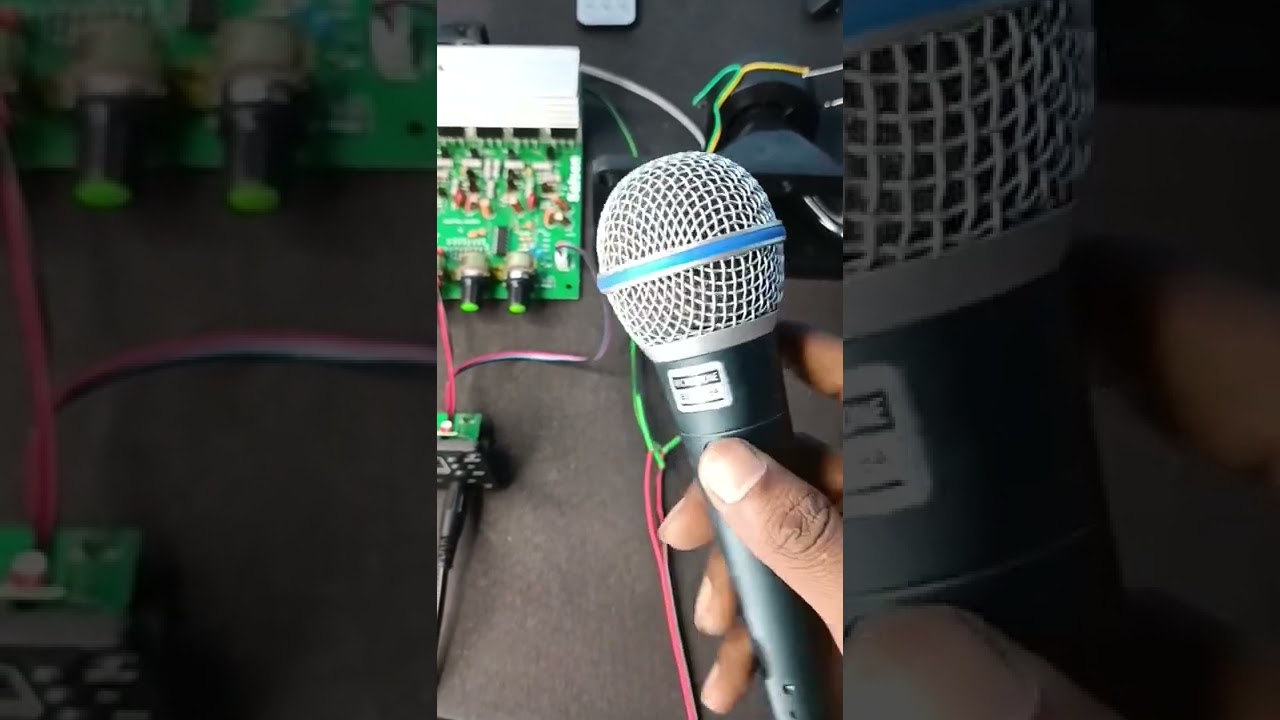 echo mic