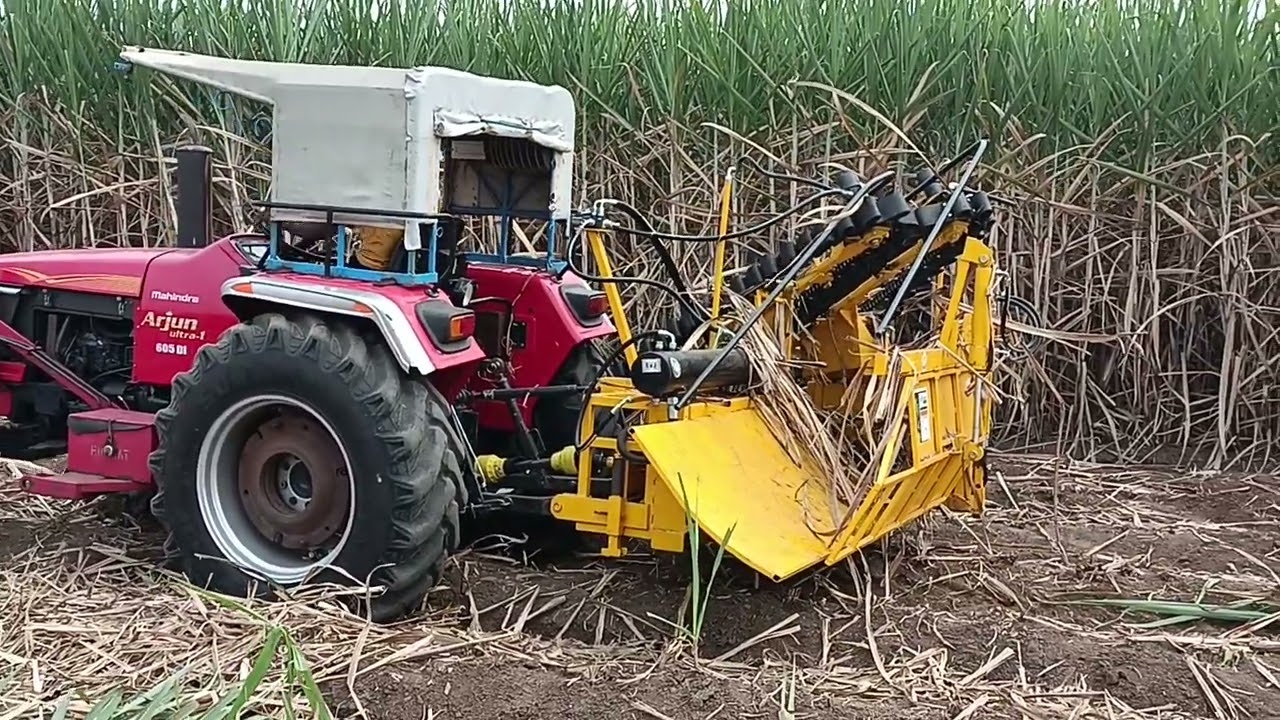 sugarcane harvester mob-7874974313 #sugarcaneharvester #sugarcane #sugarcanefarming ऊस तोडणी मशीन