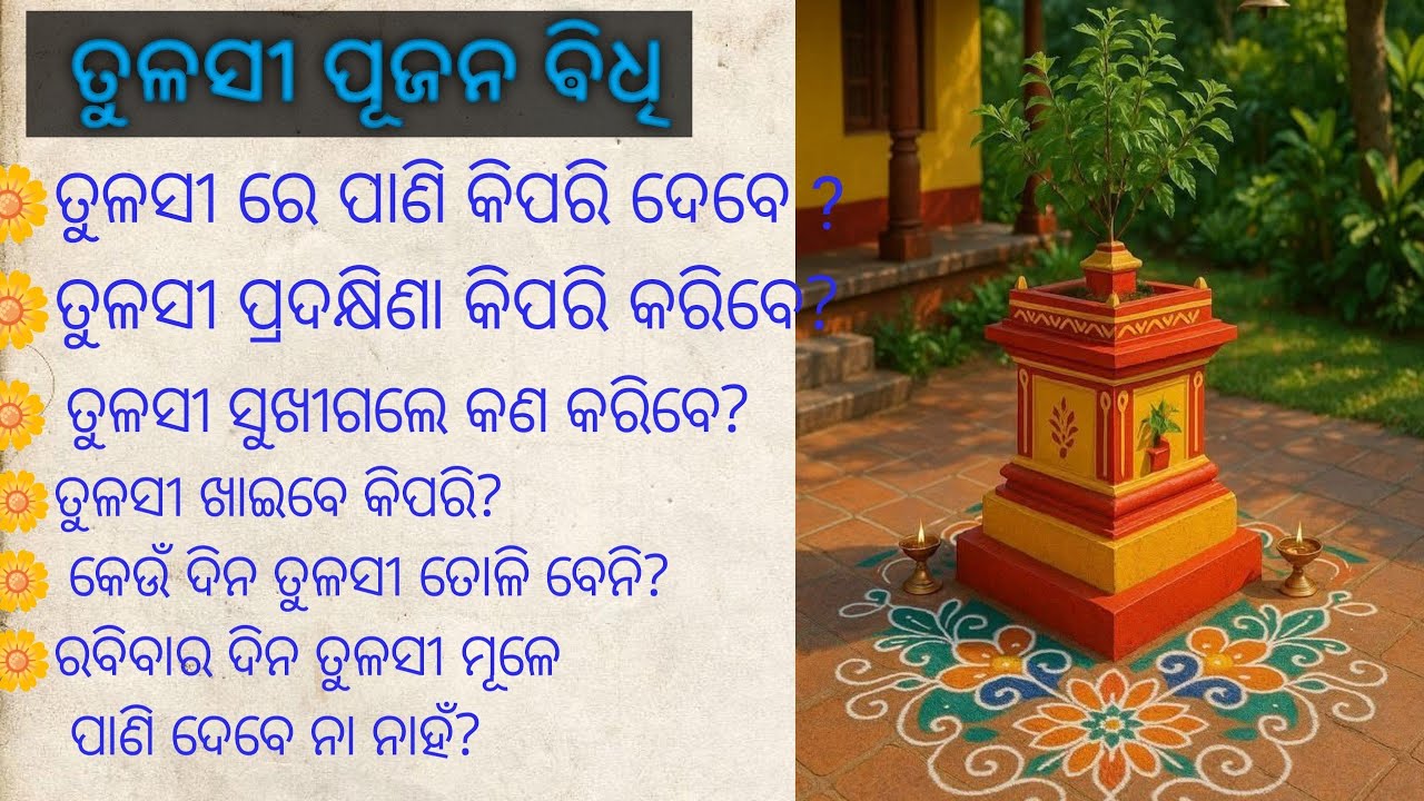 ତୁଳସୀ ପୂଜନ ଵିଧି ଓଡ଼ିଆ //tulasi pujana vidhi in odia //ତୁଳସୀ ରେ ପାଣି କିପରି ଦେବେ  ?