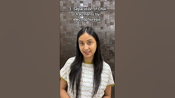 DNA Fingerprinting in 50 seconds 🤯 #neet #biology #shorts