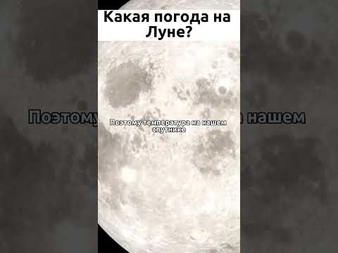 Birb, Avega, На луне - Twenty
