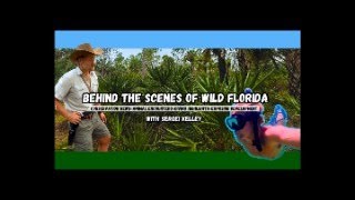 The Roadless Rule, What Can Non-Floridians Become, and What&#39;s &quot;Wild &amp; Free Mean?&quot;