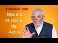 Trigueirinho | Nós e o Mistério da Água