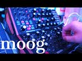 SUBHARMONICON,DFAM moog synthsizer