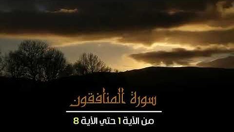 القارئ إبراهيم المغربي - ما تيسر من سورة المنافقون