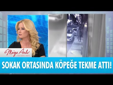 Sokak ortasında köpeğe tekme attı - Müge Anlı ile Tatlı Sert 18 Eylül 2017