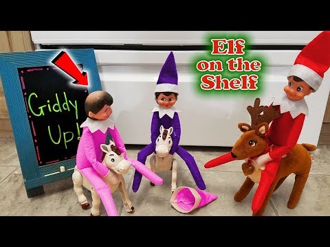 purple-&-pink-elf-on-the-shelf---lost-hat-on-real-horse-race!-she's-bald!!!-day-18