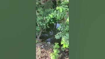 Bán 385m đất mặt tiền lộ nhựa Xã Bình Nhì Gò Công Tây