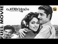 Padmavyooham |Superhit Malayalam Full Movie | Prem Nazir| Sukumari | Adoor Bhasi | Central Talkies