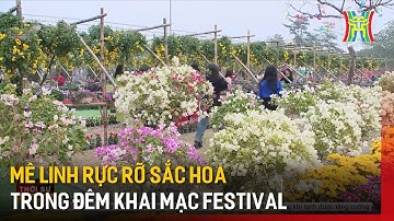 Mê Linh rực rỡ sắc hoa trong đêm khai mạc Festival  | Tin tức