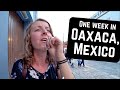 We went to OAXACA CITY and this is what happened