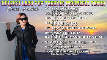 KOLEKSI LAGU POP TERBAIK INDONESIA TIMUR || Diana Malelak