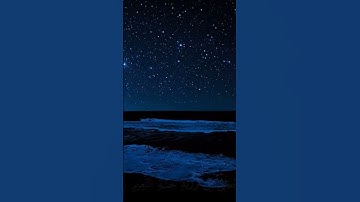 سورة الشعراء تلاها الشيخ ياسر الدوسري ❤ #ياسر_الدوسري #islamicvideo #quran #قرآن #islam