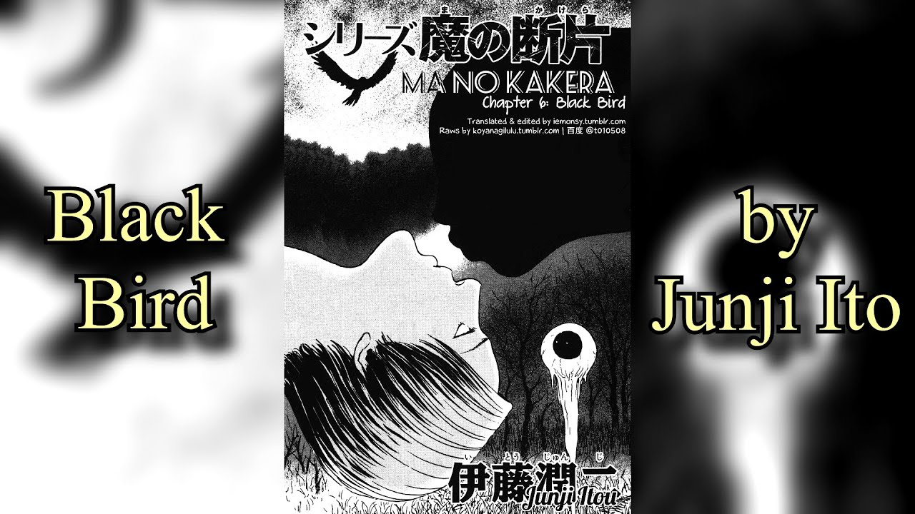 Black Bird Manga Covers
