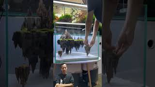 AQUASCAPE TEMA AVATAR YANG LAGI VIRAL (DI UNGGU KOMEN TERBAIK KALIAN) #aquarium #aquariumaquascape