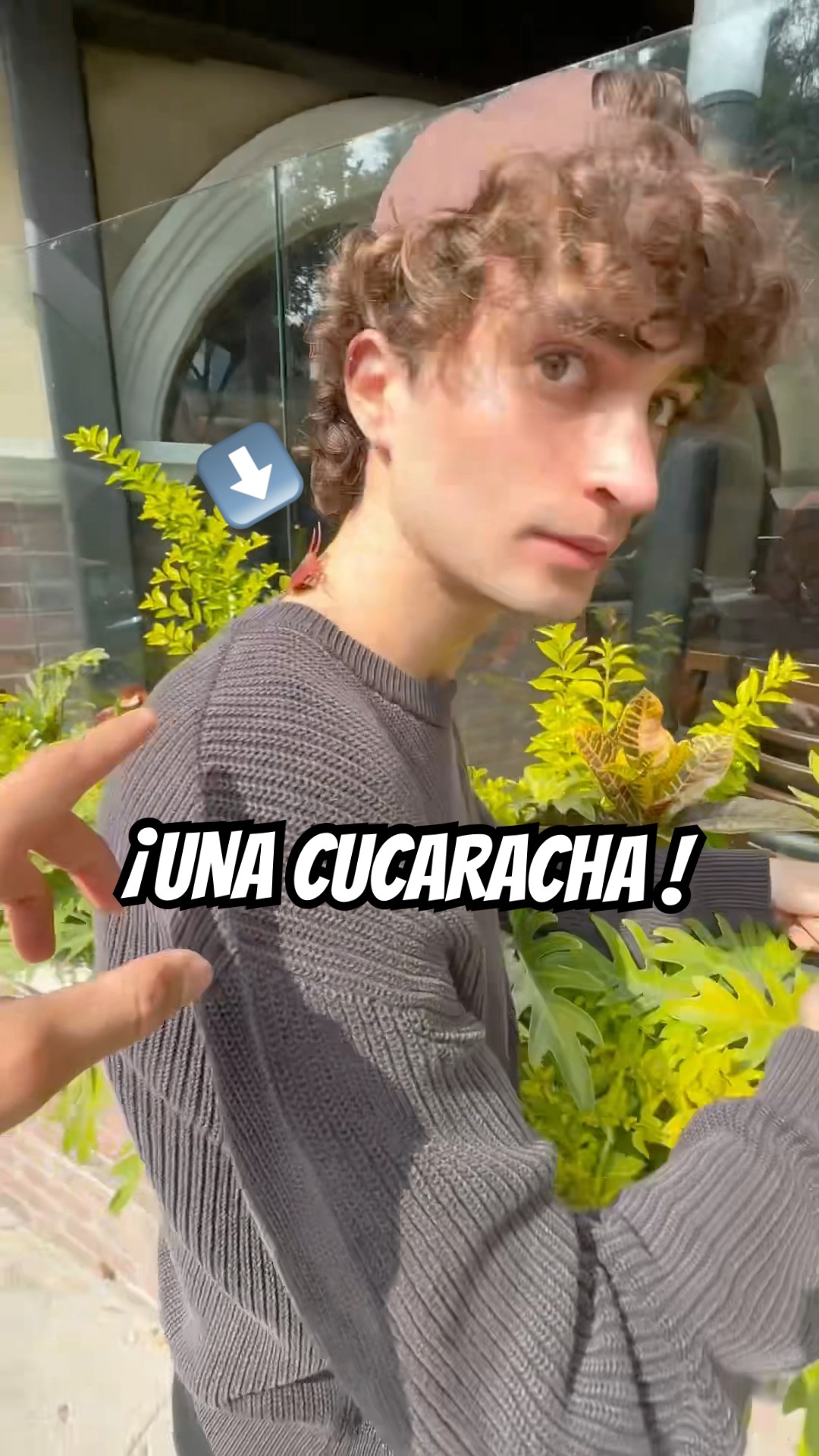 TENES UNA CUCARACHA EN EL CUELLO