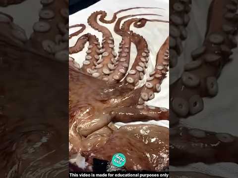 اغرب الفنون الصينية