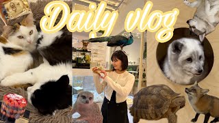 [Vlog] 일상 브이로그 #4 | 유잼도시 대전 놀거리 추천, 나도 먹었다 딸기시루