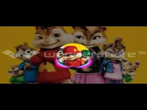 مهرجان أخواتي الصواريخ دقدق و فانكي و زوكش و شحتة كاريكا بصوت السناجب