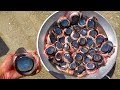上 マグロ 目の周り 257776-マグロ 目の周り