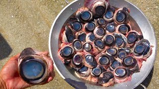 マグロ目玉50個を美味しく調理 Youtube マグロ目玉50個を美味しく調理 Youtube