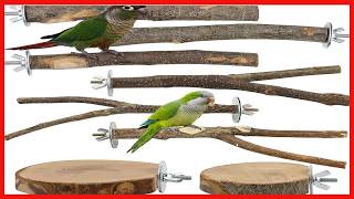 8-Piece Natural Wood Bird Perches Set for Parakeets and Budgies