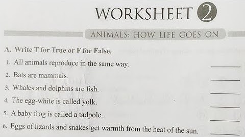CLASS 4 SCIENCE ANIMALS HOW LIFE GIRLS ON WORKSHEET 2 SOLVED