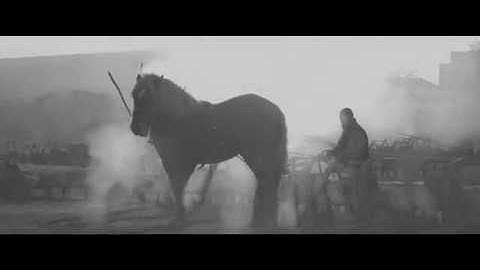 映画「馬ありて」予告