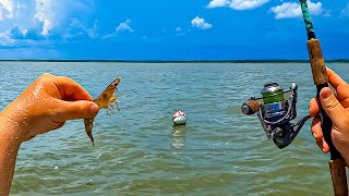 I Tossed a LIVE SHRIMP at This Bouy and Caught My FIRST ONE Ever!!