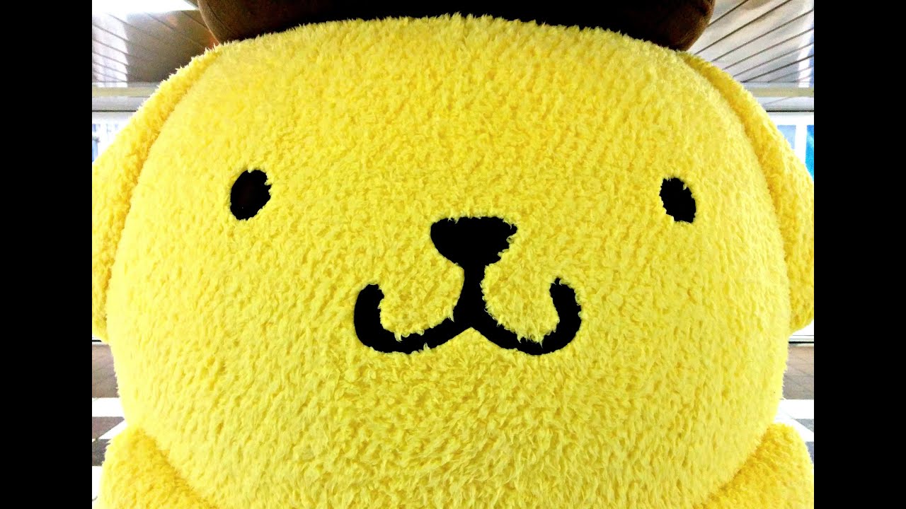 Pompompurin Campaign Shinjuku ᴴᴰ ポムポムプリン 新宿 キャンペーン Youtube
