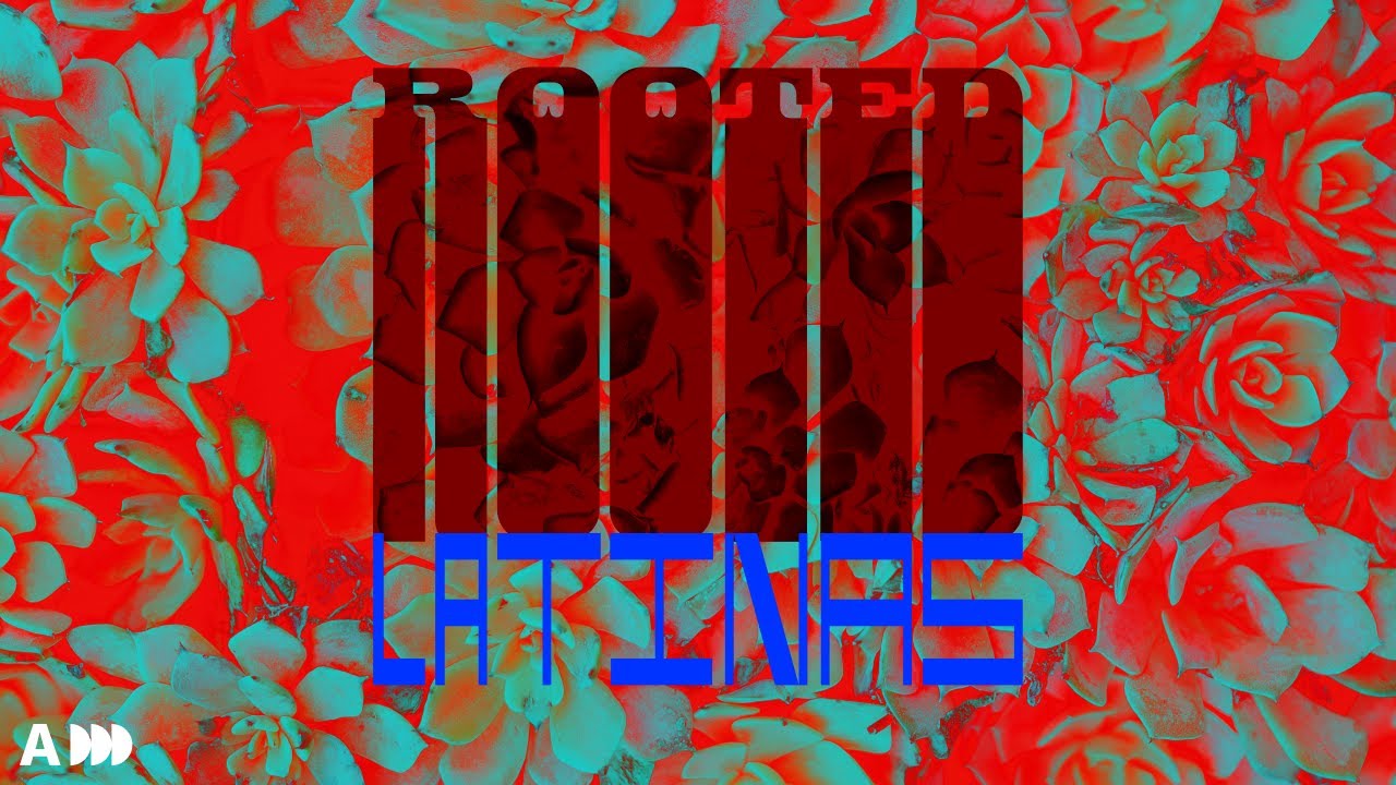 Маленькие советы на все случаи жизни… Стиль укоренившихся латиноамериканцев