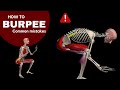 How to Burpee | Watch all active muscles