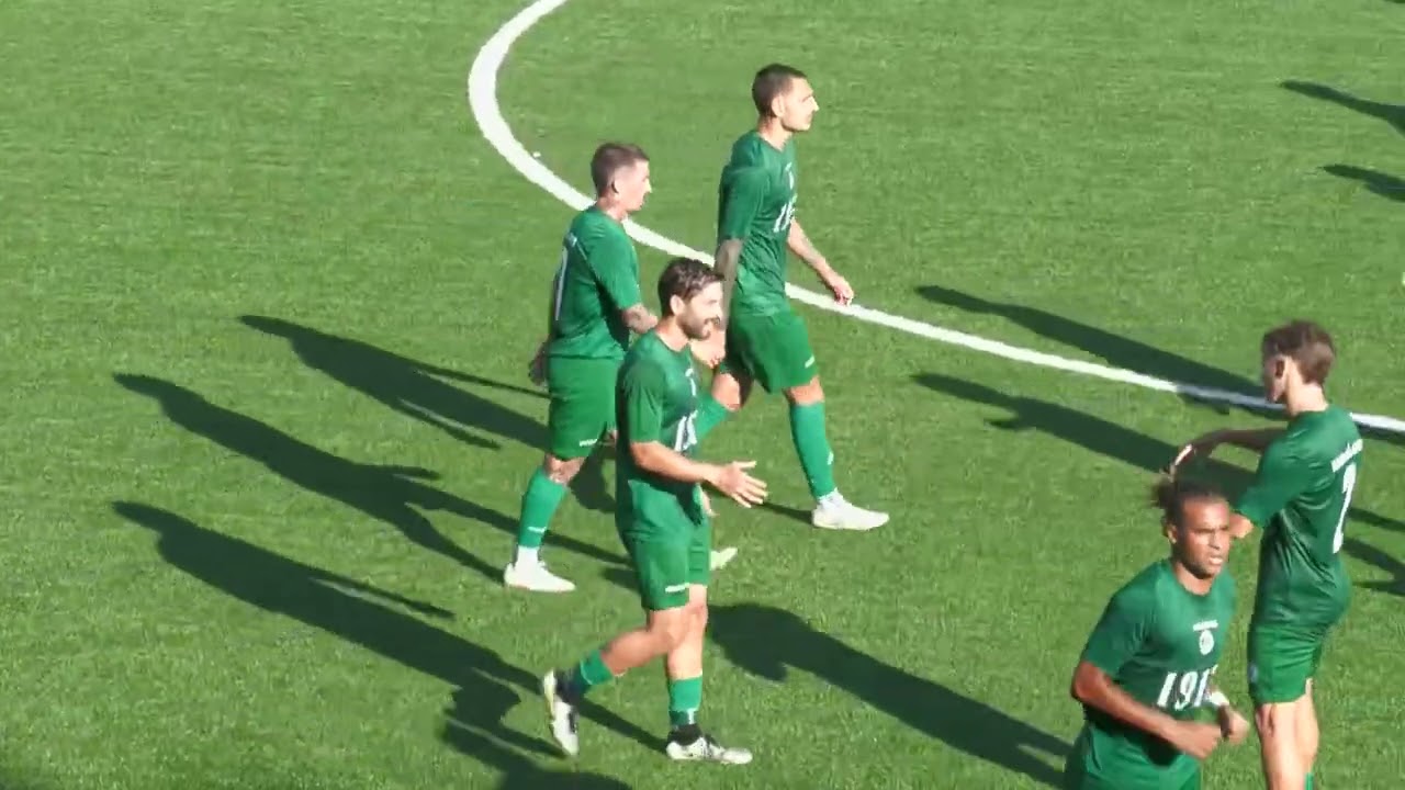 Avellino - Picerno 3-1: gli highlights