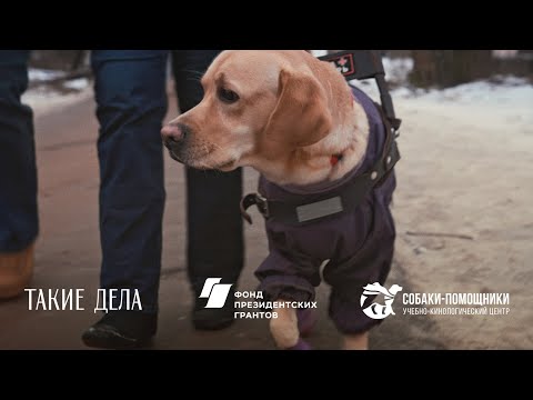 Учебно-кинологический центр «Собаки-помощники инвалидов»
