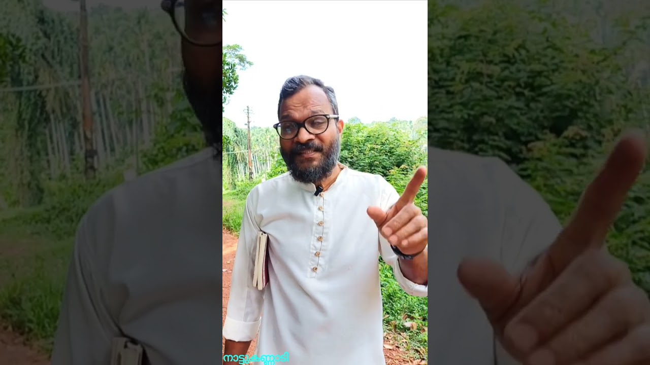 എന്റെ വളപ്പിലെ എന്റെ മാവിലെ തേനീച്ചക്കൂടല്ലേ മാഷേ 🤣🤣🤣🤣