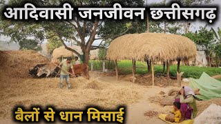 आदिवासी जनजीवन छत्तीसगढ़ || माझी जनजाति || Tribal Village Lifestyle Chhattisgarh