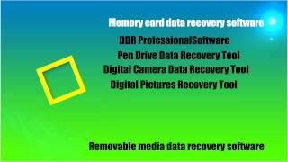 free xd card data recovery software recover restore xd cards data files folders pictures photos