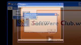 FLV player, YouTube files, Flash player screenshot 3