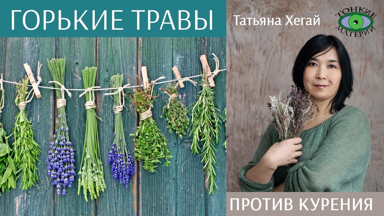 🌿 Горькие травы против курения. Татьяна Хегай