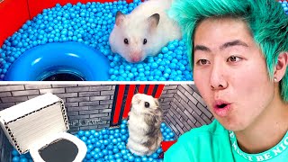 World’s Most Insane Hamster Mazes!