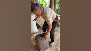 Than củi rèn dao mèo