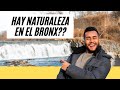 Otros 8 Lugares Que No Te Puedes Perder En El Bronx!