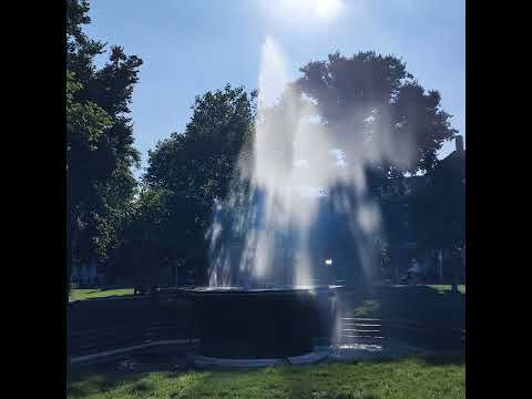 على سواحل إنجلترا Brighton