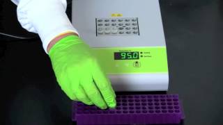 Alu PV92 Detection by PCR