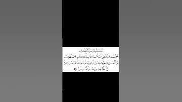 سورة التوبة . الاية 67 . القران الكريم .  ياسر الدوسري[الْمُنَافِقُونَ وَالْمُنَافِقَاتُ بَعْضُهُم]