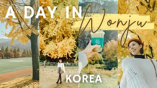 KOREA VLOG | autumn solo day trip out of Seoul to Wonju