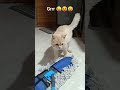 Grrr рџ Јрџ Јрџ Ј Grrr рџ Јрџ Јрџ Ј