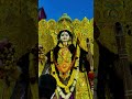Durg ki maa saraswati mata ka visarjan #enjoywithshivani #treadingshorts #youtubeshorts #ytshort#vir