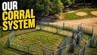 👉 Our Corral System Explained | Full Walkthrough + Drone View | P&C Cattle Pen #cow #farm #farmlife